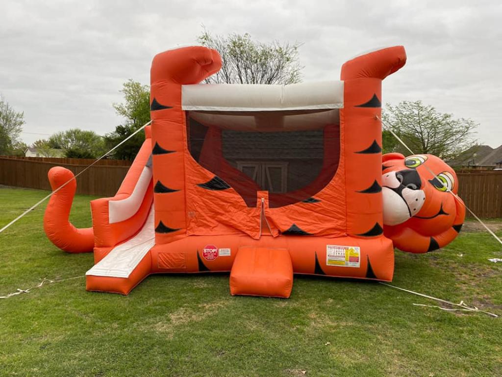 Bounce House Rental in Venus