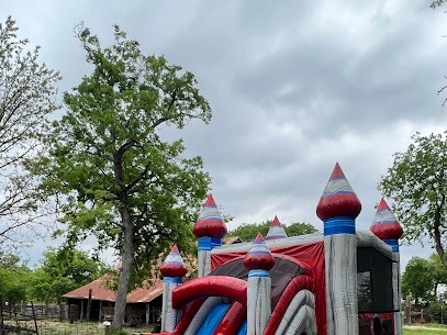 bounce house rental in Mansfield